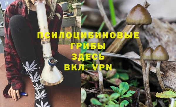 спайс Нягань