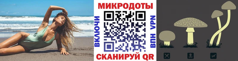 Галлюциногенные грибы Cubensis  MEGA как войти  Новозыбков  цена наркотик 