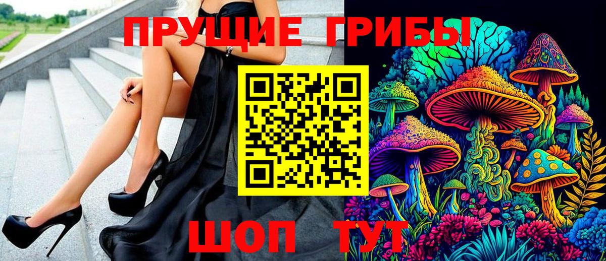Псилоцибиновые грибы мицелий  Вход с VPN  Новозыбков 